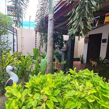 Kavidi Villa Home Stay Тангалла Экстерьер фото